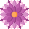 乐鱼体育 logo